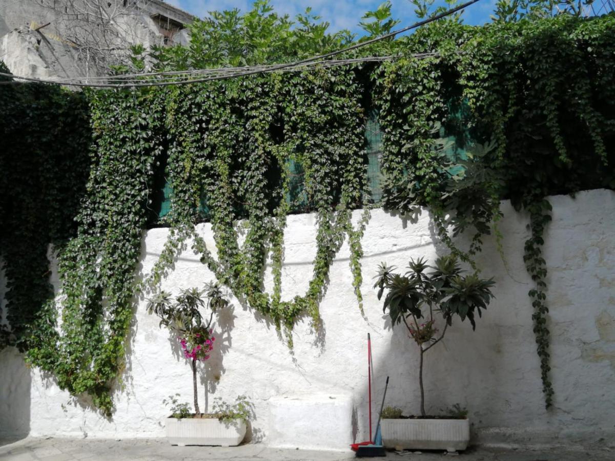 Borgo Fontana B&B Bari Ngoại thất bức ảnh